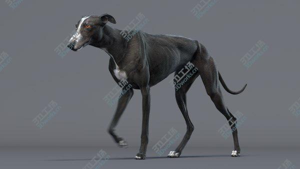 images/goods_img/20210312/Greyhound 3 Animated model/1.jpg